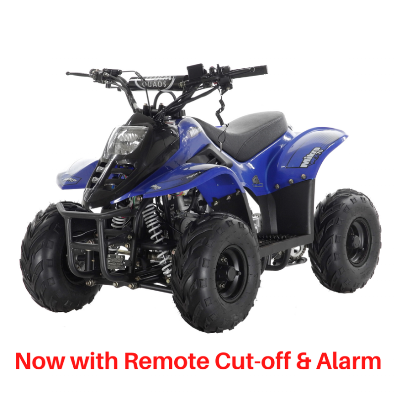 Brand New Childrens Petrol Quad Bikes Quads 4 Kids