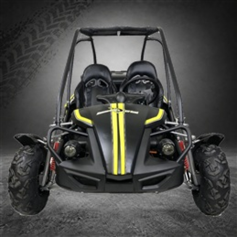 Hammerhead GTS150&trade; Buggy