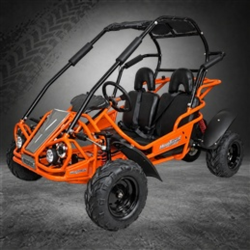 Hammerhead Mudhead&trade; Buggy