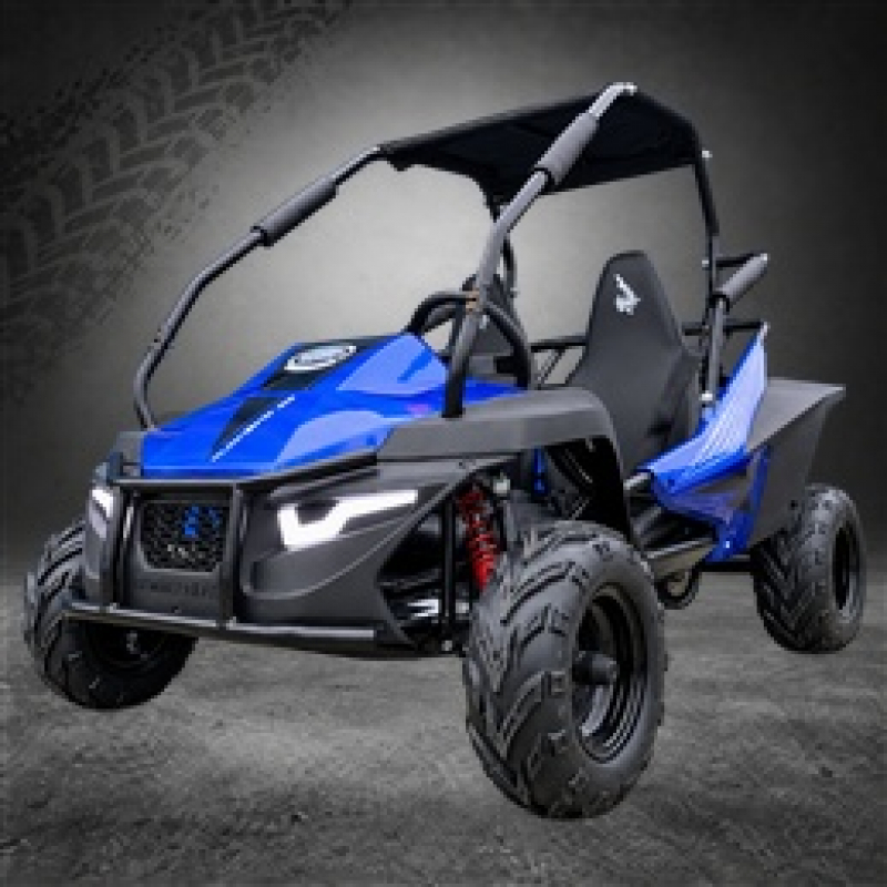 Hammerhead&trade; Mudhead SE Kids Off Road Buggy