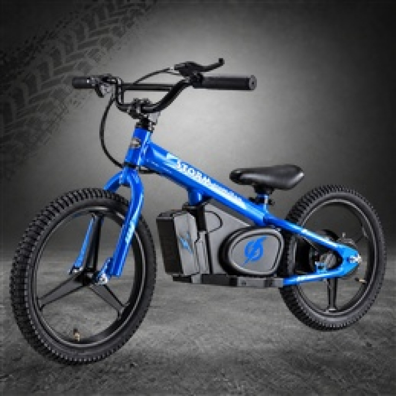 Kids Electric Balance Bikes