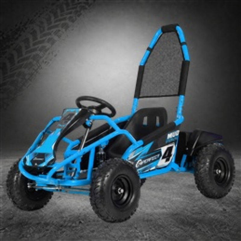 Kids Off Road Go Karts & Buggies