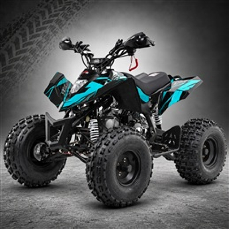 Petrol 110cc & 125cc Kids Quads