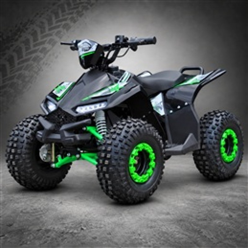 Renegade Kids Electric Quads