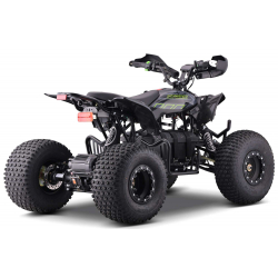 Renegade Pro 1500w 60v 32Ah Electric Quad Bike
