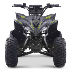 Renegade Pro 1500w 60v 32Ah Electric Quad Bike