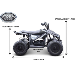Renegade Ranger 1000w 36v Electric Kids Quad Bike - Black