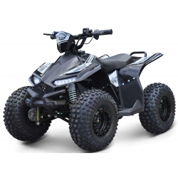 Renegade Ranger 1200w 48v 20Ah Electric Kids Quad Bike - Black