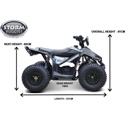 Renegade Ranger 1200w 48v 20Ah Electric Kids Quad Bike - Black