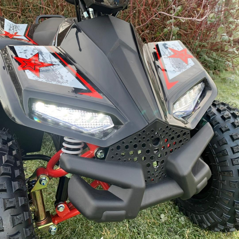 Electric Battery Renegade Lt100e Renegade Lt100e Renegade LT100E