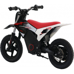 Warrior E-250 Kids Electric 250w Dirt Bike 12/12 - White